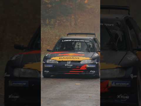 Vidéo incroyable ce Dimanche 🔥 Sébastien Loeb et sa 306 Maxi seront de la partie ! 😮‍💨 #rallye