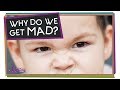 Understanding Anger and Body Reactions