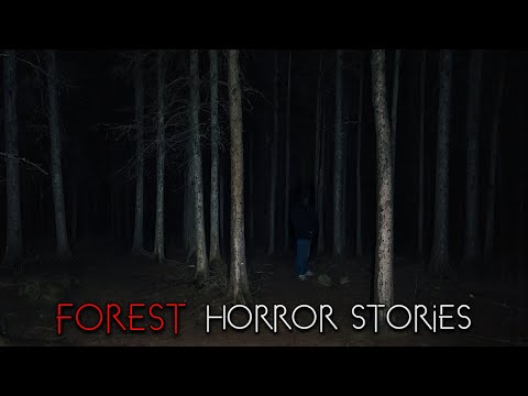 3 Creepy True Wilderness Horror Stories