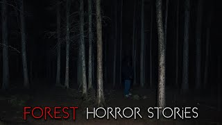 3 Creepy True Wilderness Horror Stories