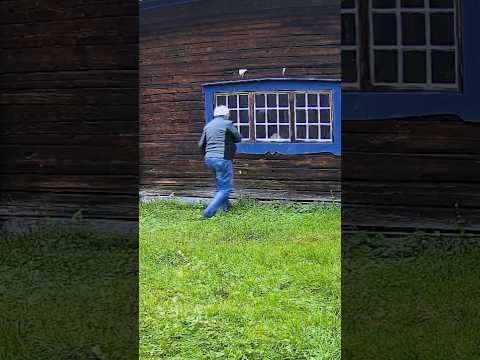 Stalker problems at the cabin