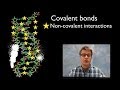 Hydrogen Bonds and Polymer Properties