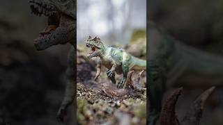 I tried Dinosaur Toy Photography
