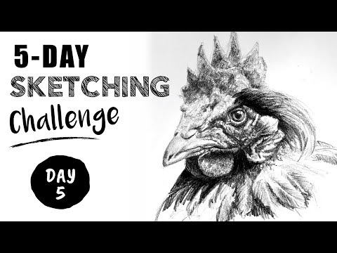 Pencil Sketching 5 DAY Challenge - Lesson 5