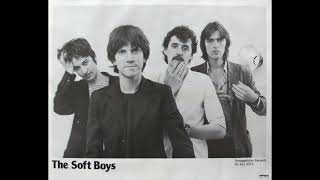 Behind the Song: "Queen of Eyes" by The Soft Boys - featuring Robyn Hitchcock