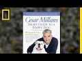 Understanding Dog Behavior and Training