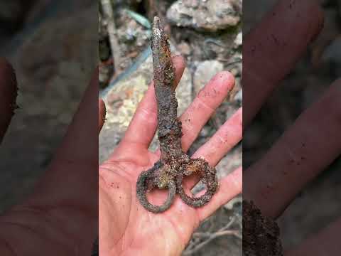 Day 7 Searching for List WWII Treasure!