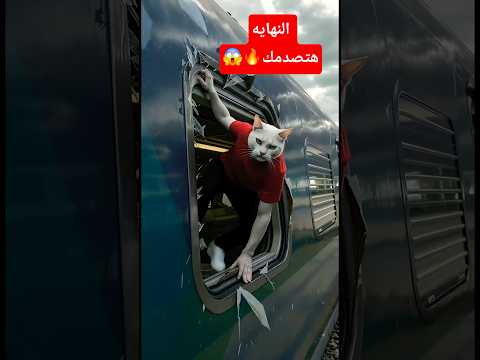القط مياو🐱حبيبته سابته عشان جبان💔…لكنه أنقذ القطار كله🚆النهاية هتصدمك 😱#ai #cat #shorts #funny #مياو