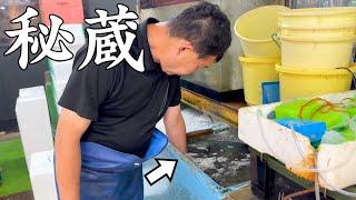 【8月オススメ】市場の奥の奥の水槽から続々とやばい魚がでてきた！