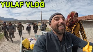 TÜM AİLEYE GÖREV..KÖYLÜ TARLAYA DÖKÜLDÜ.1 TON YULAF 50 BİN TL MASRAF