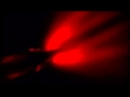 Deep Sea Bioluminescence and Adaptations