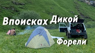Отдых в горах РЫБАЛКА ФОРЕЛЬ