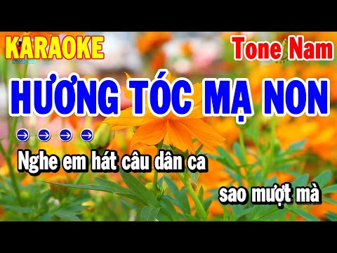 Karaoke Hương Tóc Mạ Non Tone Nam Nhạc Sống Cha Cha Dễ Hát 2024 | Thanh Hải