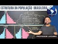 População Brasileira e Desafios Demográficos