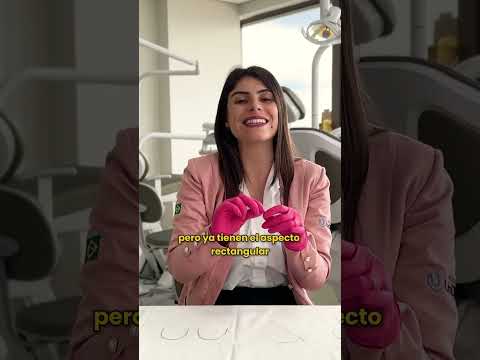 ¿tienes dudas sobre cuáles son las cinco etapas en las que debemos dividir el tratamiento?