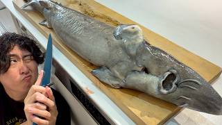 【古代魚】3年ぶりにチョウザメを捌きます
