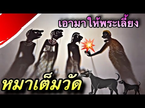 หนังตะลุง ตลกมาแล้ว