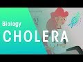 Cholera Awareness and Prevention