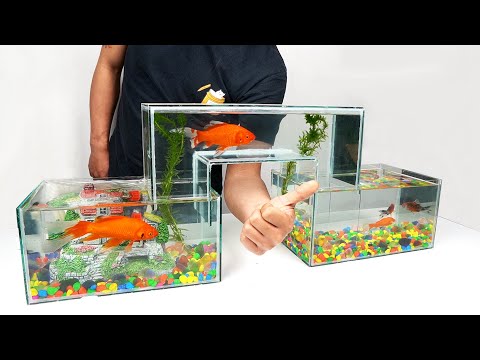 How to Make Unique Multi Level Glass Aquarium at Home