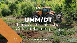 Der FAE UMM/DT-Forstmulcher arbeitet hart an der Umwandlung eines Waldgebiets