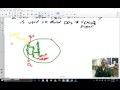 Photosynthesis Processes and Functions