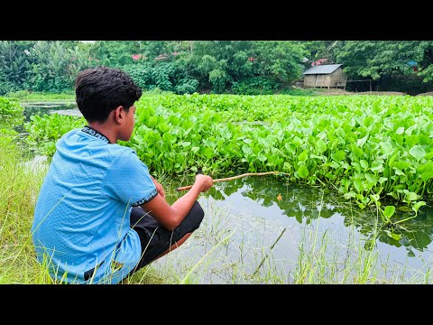 Best Fishing Videos🎣🐟 2025 || Village Small Boy Catch Fish By Fish Hook From Village River