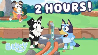 2 HOURS of Bluey Fun with Friends! ✨ 💙 | Learn and Play with School Friends | Bluey