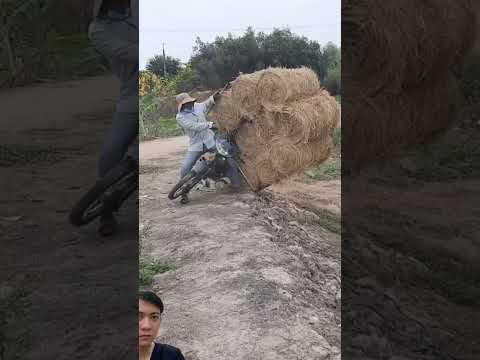 Xe Rom Viet Nam. #automobile #clips #shorts #funny