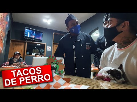 Llevo un Perro a una taquería (BROMA)