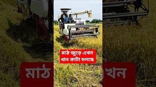 Rice cutting মেশিন ধানকাটা মেশিন,