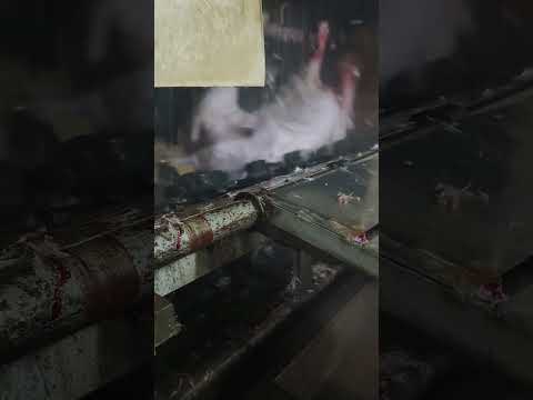 The Most Amazing Machine You’ve Never Seen! 😱😭 Part 3