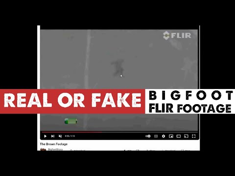 Brown FLIR Bigfoot Footage (analysis)