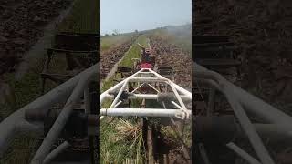 tahap pertama bajak sawah