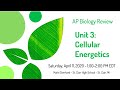 Exploring Cellular Energetics in AP Biology
