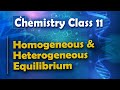 Chemical Equilibrium Concepts and Examples