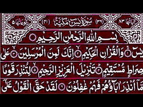 Surah Yaseen Surah Rahman || Best Qur'an Recitation || Surah Yasin full || Yaseen Sharif Full