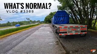 WHAT'S NORMAL? | My Trucking Life | Vlog #3388