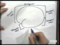 Functions of the Human Brain