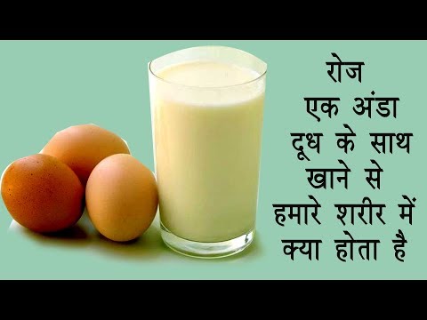 रोज एक अंडा दूध के साथ खाने से हमारे शरीर में क्या होता है // Egg with Milk