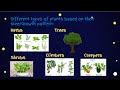 Plant Characteristics and Growth Habits