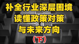 补全行业深层困境，读懂政策对策与未来方向（下篇）