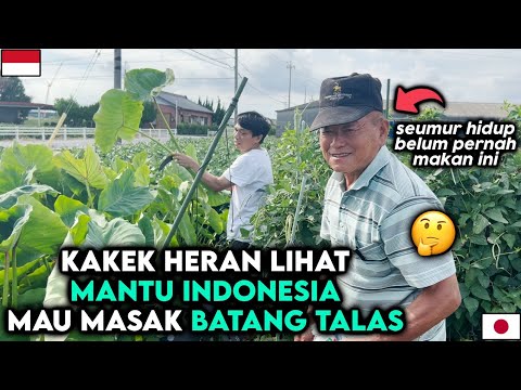MANTU INDONESIA ADA" SAJA! KATANYA MAU MASAK BATANG TALAS