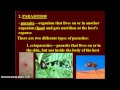 Ecological Concepts and Interactions