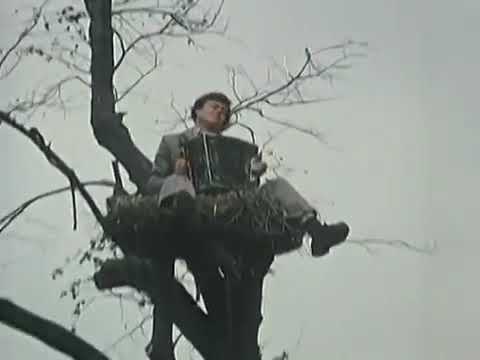 Николай Караченцов - Страдания (Я ходил по белу свету)