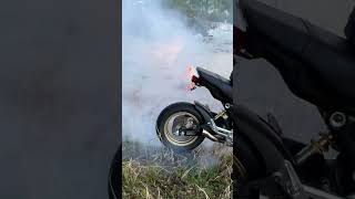 Grom burnout #motorcycle #stunt #burnout