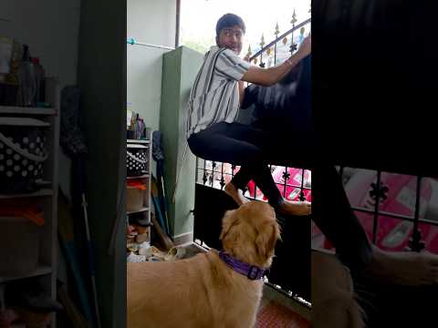 Dog Owners !! Crcta ?? #harishhatricks #comedy #youtubeshorts #Dog