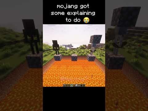 mojang needs to do some explaining fr idea by u/MausVIIII #funny #minecraft #memes #shorts