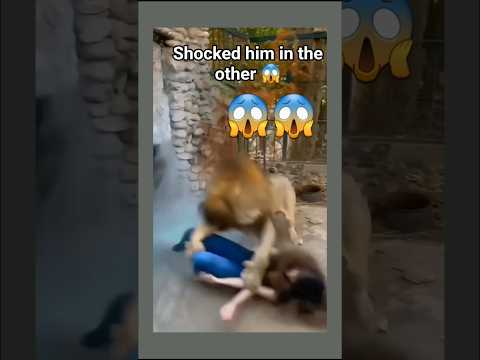 Completa el otro choque | Complete the other shock #europe #shorts