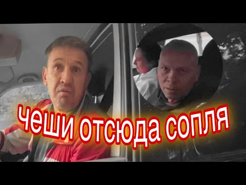ДПС в шоке от увиденного! Осеннее обострение у нарушителей ⛔️🐝