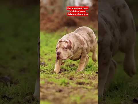 #chácara dessa vez ela se ferrou